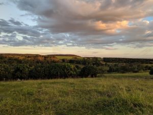 private farm in Brazil at dusk