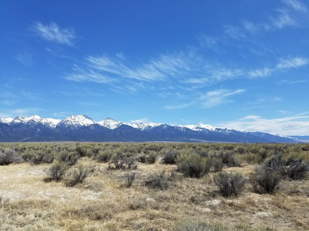 scrubby grassland with snow-capped mountains in background