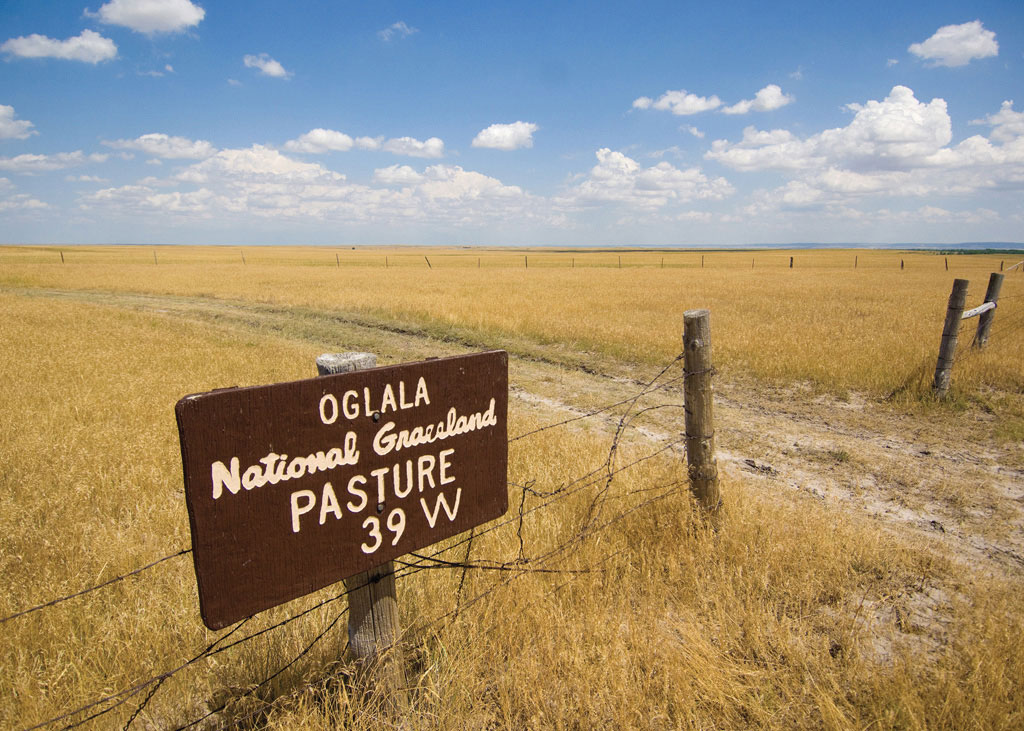 flat prairie stretching to horizon