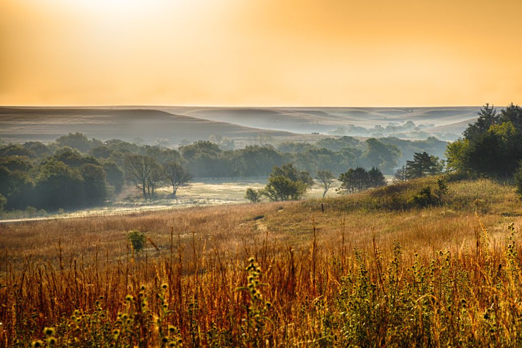 blazing red colors of tallgrass prairie in fall