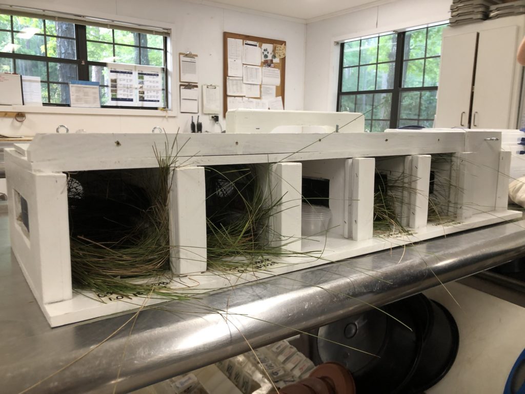 A row of white wooden boxes without doors have circles of grass tucked into them