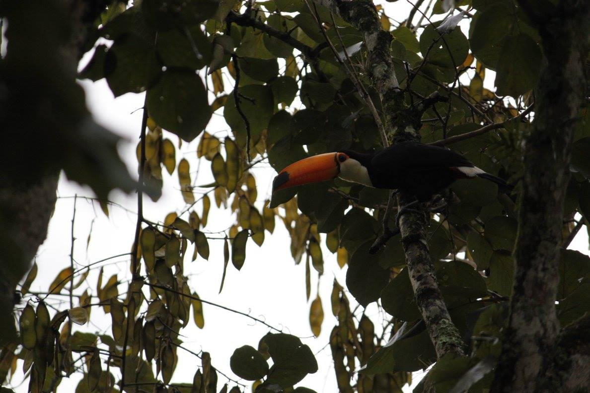 Photo by Nicole Brown