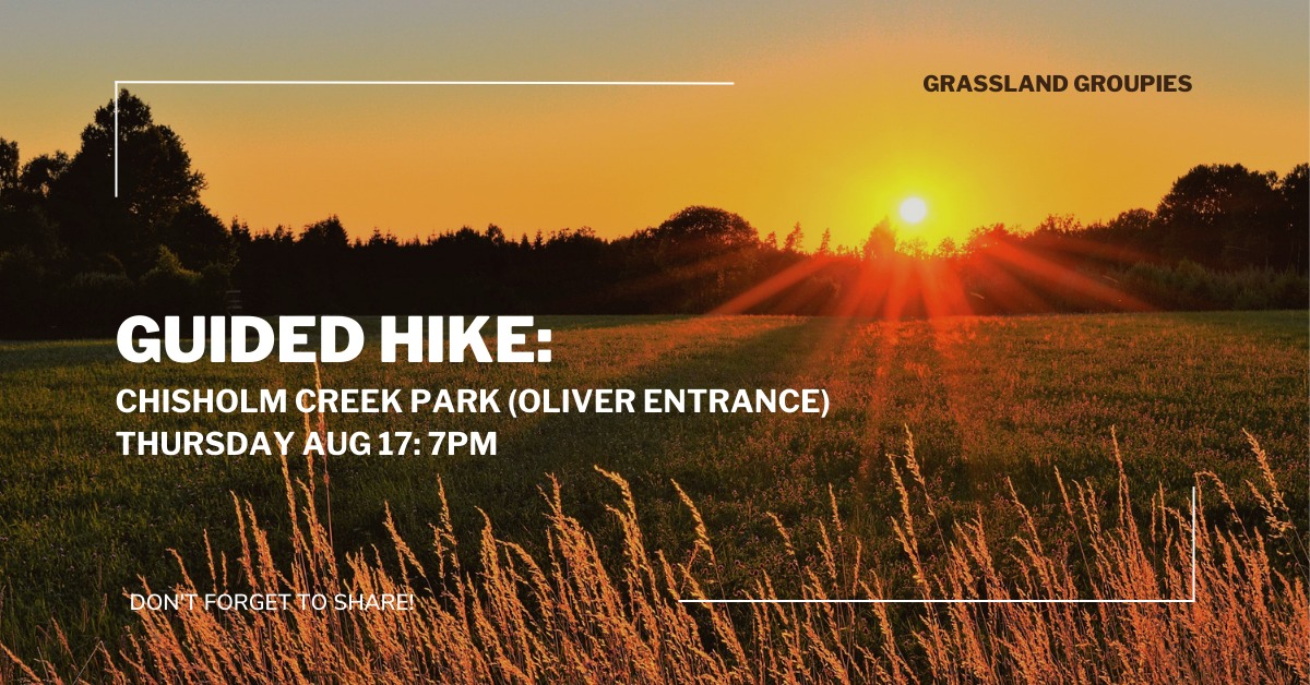 Header image for the August hike at Chisholm Creek Park