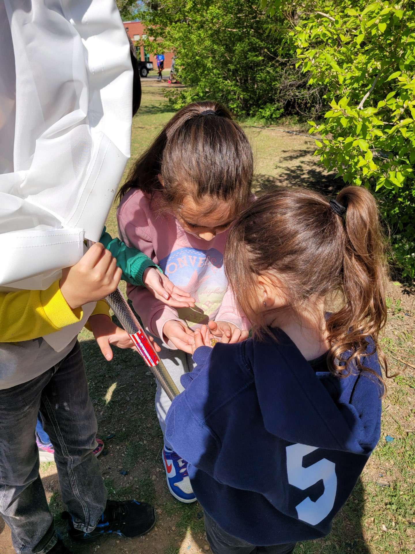 Kids huddle around a student holding a bug net, looking at the butterfly in her open hand