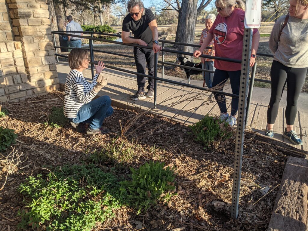 A volunteer crouches in a native garden to show off plants to a crowd gathered around.