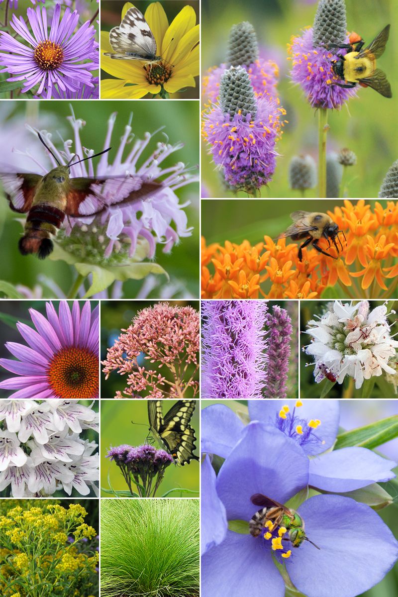Prairie Nursery
