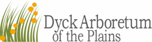 Dyck Logo