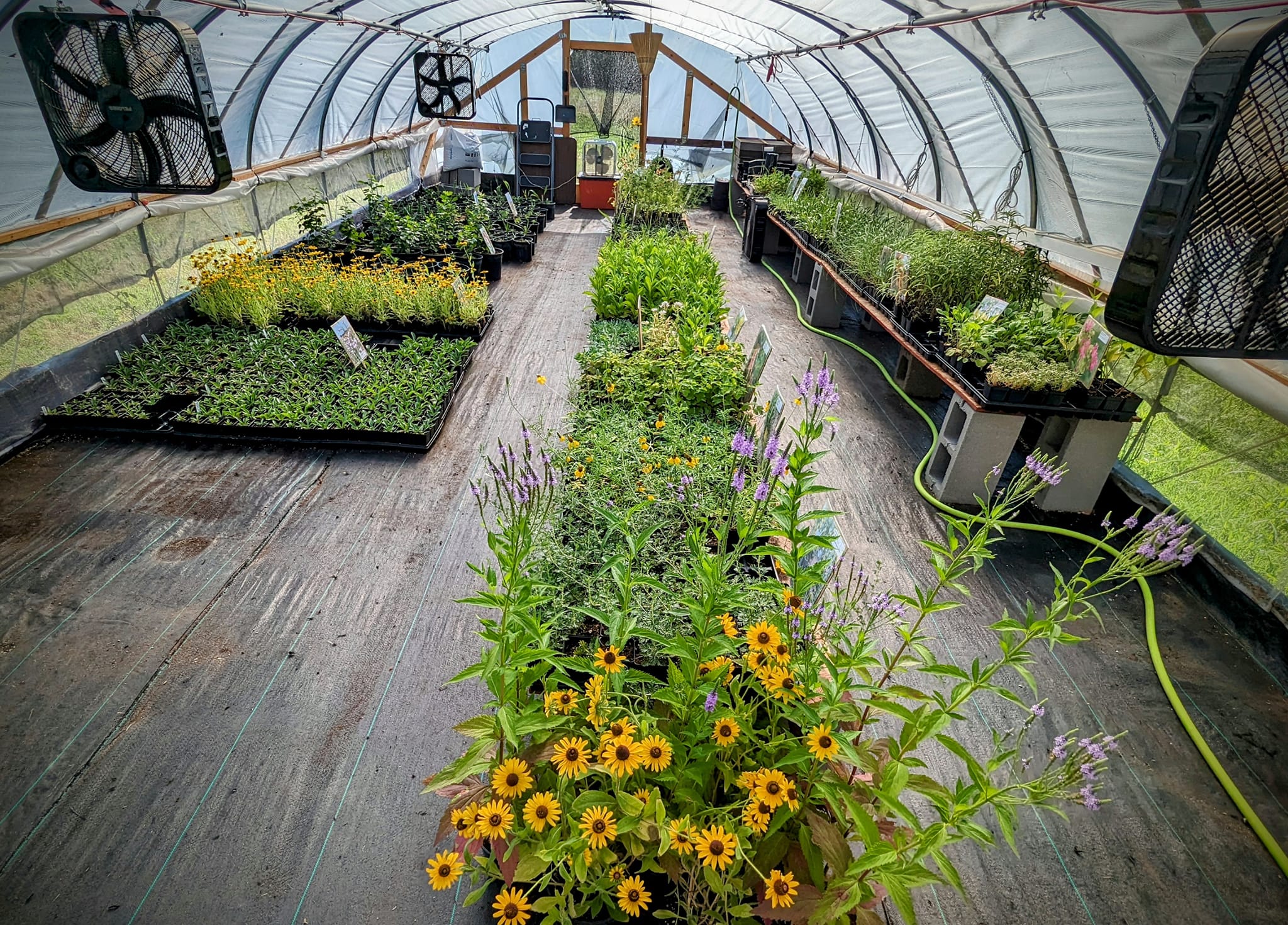 Hidden River Prairie Nursery