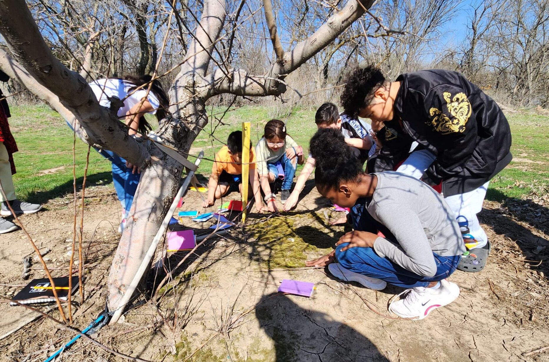 Meadowlark Touching Moss