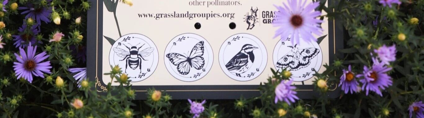Four black-and-white illustrations where badges can be added at the bottom of the sign, featuring a bumblebee, monarch, meadowlark, and moth.