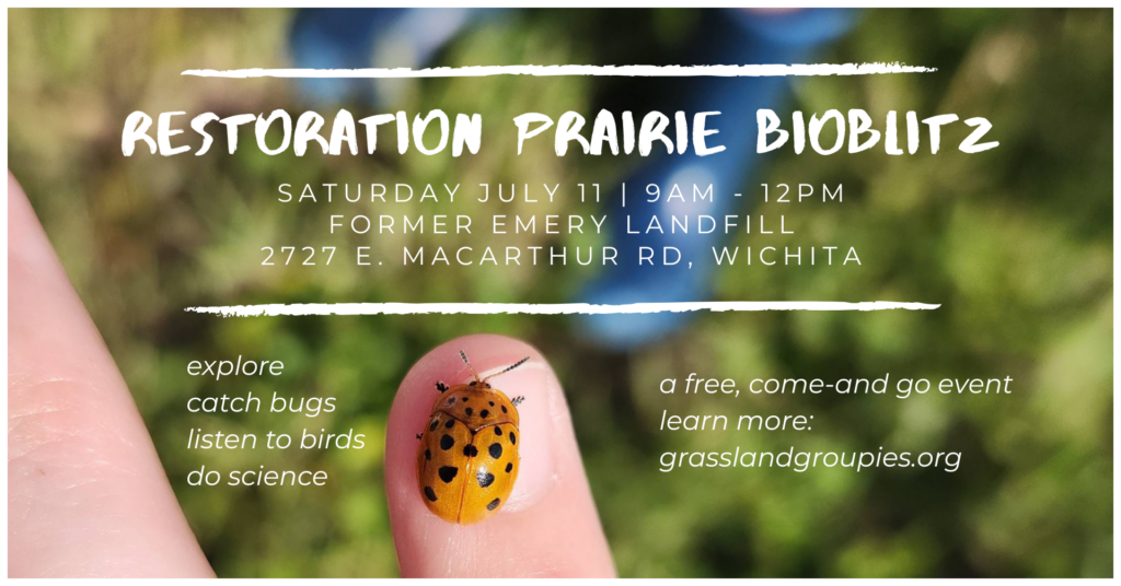 Banner showing a beetle on a thumb with details about the Emery Bioblitz Event.