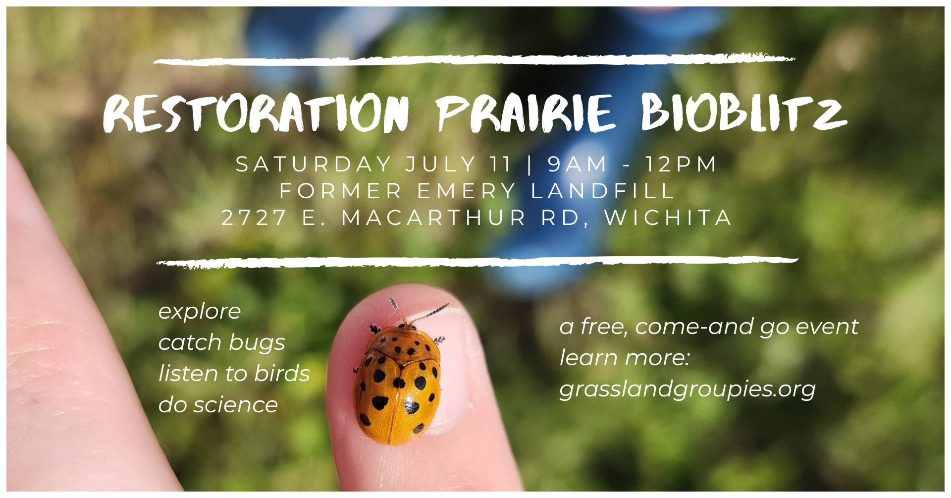 Banner showing a beetle on a thumb with details about the Emery Bioblitz Event.