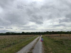Woman crouches to draw goats on a prairie.