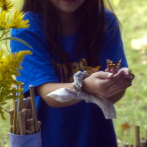 A child holds one of the butterflies inside our butterfly house.