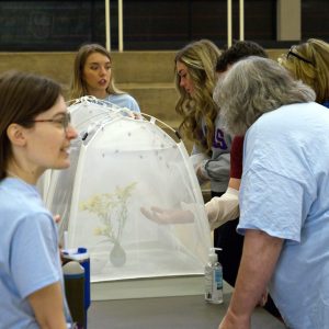 Visitors line up and speak with volunteers at the Bumblebee petting zoo.