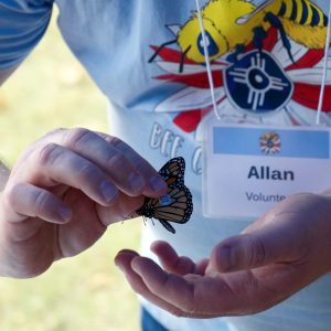 Allan tags a monarch butterfly in the butterfly house.