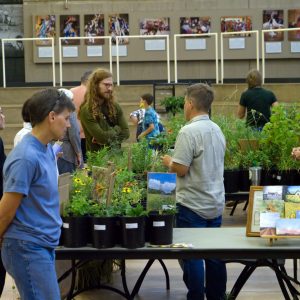People chat with native plant vendors.