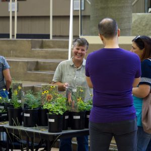 Hidden River Prairie Nursery sells native plants.