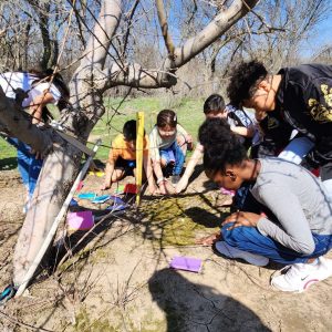 Meadowlark Touching Moss