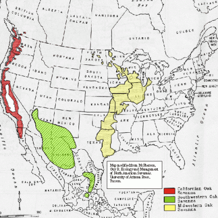 Map of the United States showing three oak savanna regions, a band along the northwest coast, an oblong region in the southwest, and a band stretching from Texas to the Great Lakes.