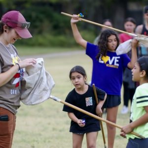 P1127641_revised_crop