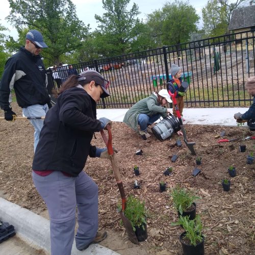 Volunteers dig holes for the assortment of plants set out in a freshly mulched, curbside garden patch.