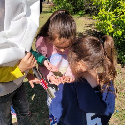 Kids huddle around a student holding a bug net, looking at the butterfly in her open hand