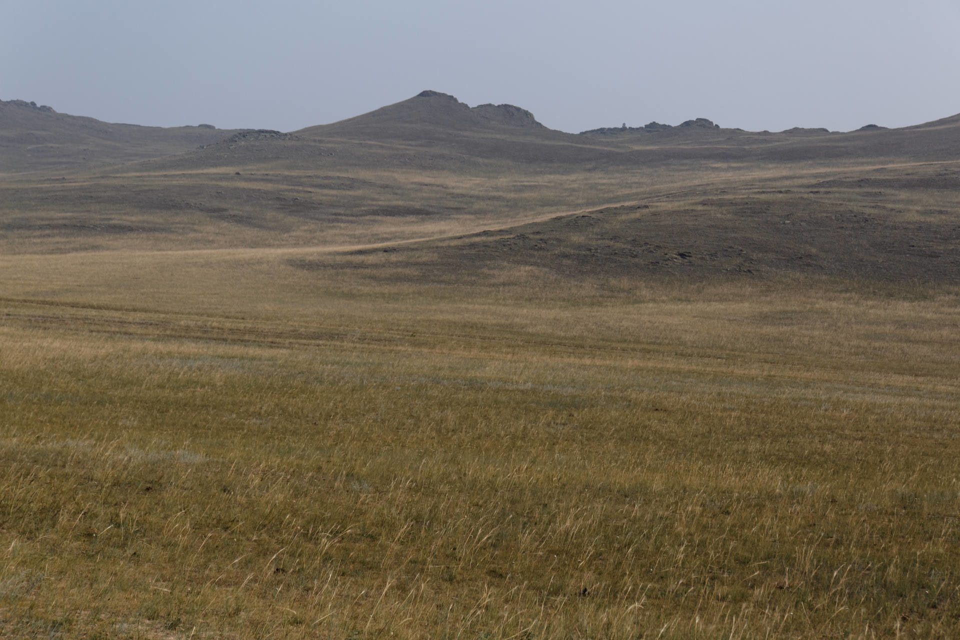 Vast open steppe with mountains in distance